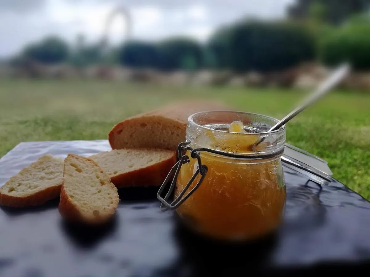 Alloggio per agriturismo Tenute Plaia Agriturismo Scopello  Italia